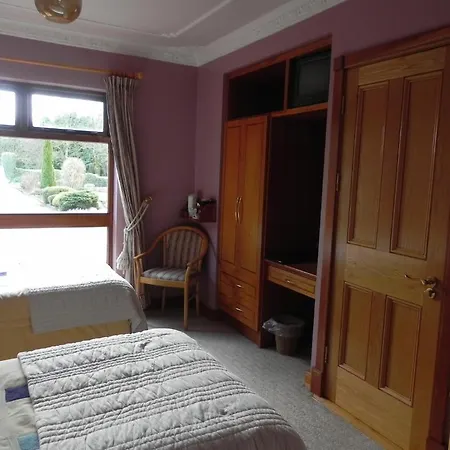 Shelmalier House Hotel Athlone Room photo